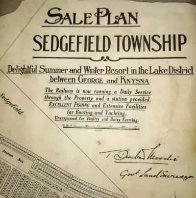TDM's Town Plan for Sedgefield