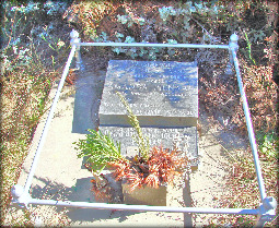 Amanda's grave