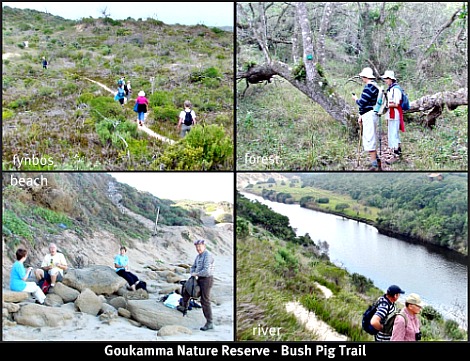 Goukamma Bush Pig Trail Goukamma Bush Pig Trail