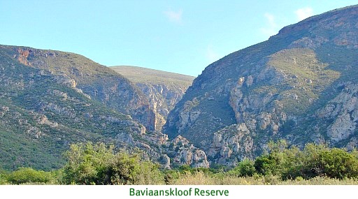 Magnificent and untamed Baviaanskloof