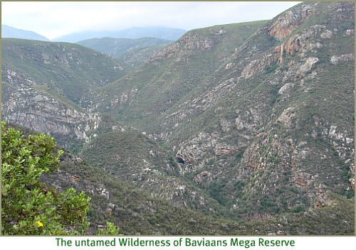 Wilderness of Baviaanskloof Mega-Reserve Wilderness of Baviaanskloof Mega-Reserve