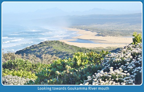 Goukamma River mouth Goukamma River mouth