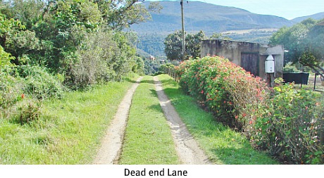 Wilderness country lane Wilderness country lane