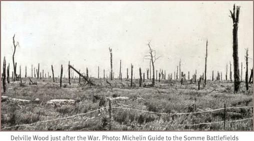 Delville Wood devastation Delville Wood devastation