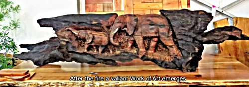 Something beautiful made from burnt wood.