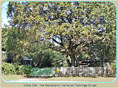 Little Oak View of Little Oaks from Flamingo Street