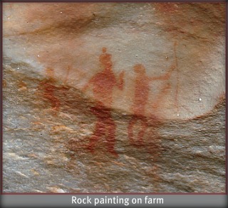 Khoi-san painting on Herold Wine Farm