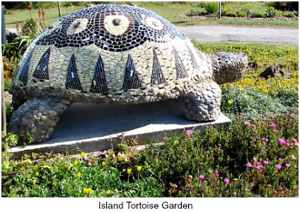 Island tortoise garden Island tortoise garden