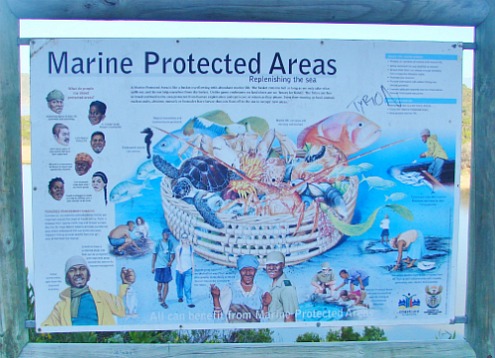 Marine Protected Areas In The Philippines