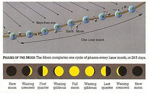 Moon Waltz Moon Waltz