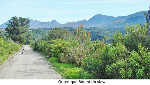 View of Outeniqua Mts View of Outeniqua Mts