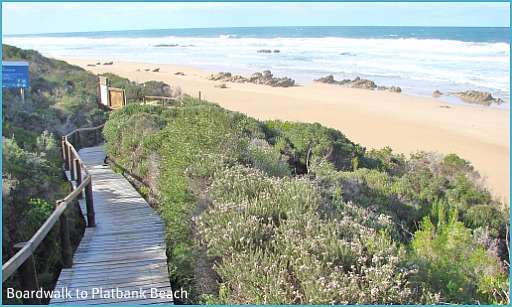 Platbank Boardwalk Boardwalk down to Platban