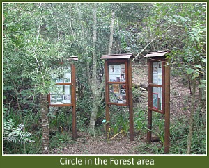 Circle in a Forest at Pledge Park