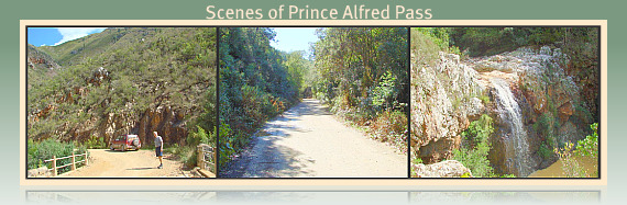 Scenes of Prince Alfred Pass-Route 339, 80kms from Knysna to Uniondale
