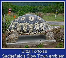 slow town tortoise emblem