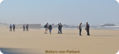 Walkers on the beach near Platbank Walkers on the beach near Platbank