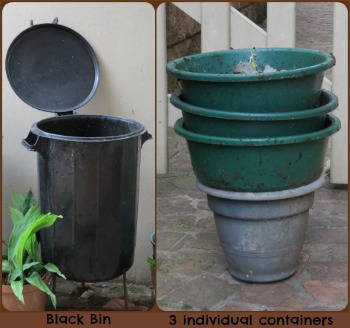 Start of Worm Farm Start of Worm Farm