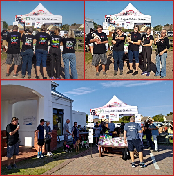 SAM's Saturday Adoption Outreach