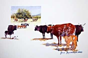 Colourful cattle standing in a field