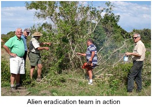 Alien eradication team Alien eradication team