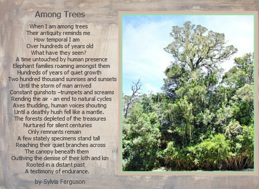 Among trees-a poem Among tree