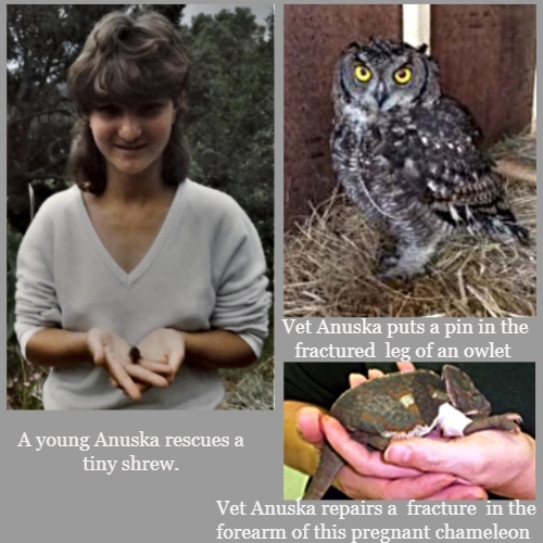 Anuska's Rescues Anuska's Rescues