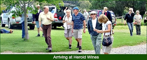 Walking group arriving at Herold Wines Farm