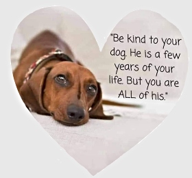 Be kind to your dog Be kind to your Dog