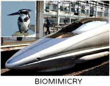Biomimicry
