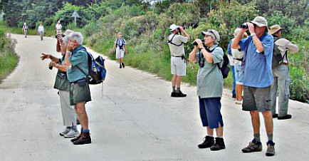 Birdclub in the field