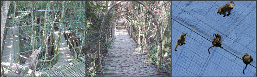 Birds of Eden Birds of Eden