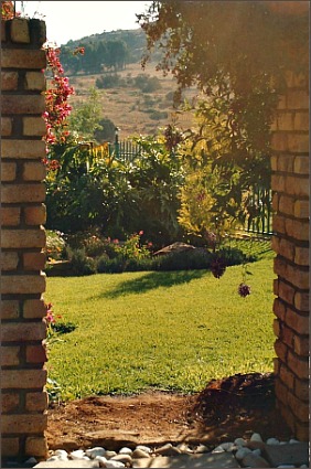 View of Suikerbos Nature Reserve