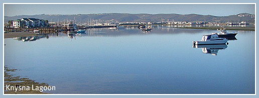 Peaceful morning on Knysna Lagoon Peaceful morning on Knysna Lagoon