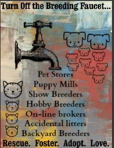 Turn off the breeding faucet Turn off the breeding faucet