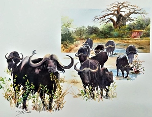 Buffalo Herd
