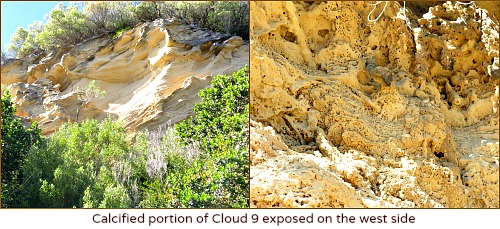 Calcified exposed portion of Cloud 9