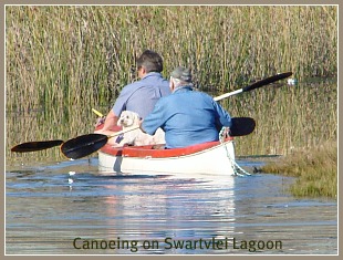 Two men and their dog canoeing on the Swartvlei Lagoon Two men and their dog canoeing on the Swartvlei Lagoon