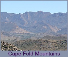 Cape Fold Mountains