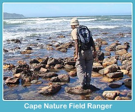 Cape Nature Field Ranger at Buffalo Bay Cape Nature Field Ranger at Buffalo Bay