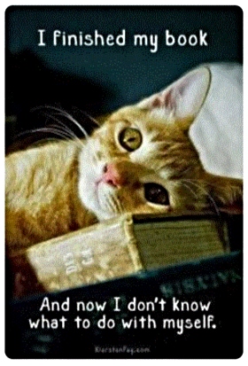 I've finished my book