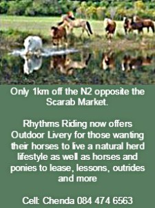 Rhythm Riding Outdoor Livery Service