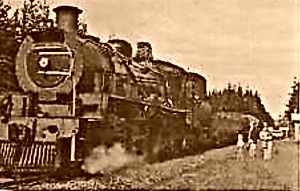 Outeniqua Choo Tjoe at Sedgefield Station before the platform was built Outeniqua Choo Tjoe at Sedgefield Station before the platform was built