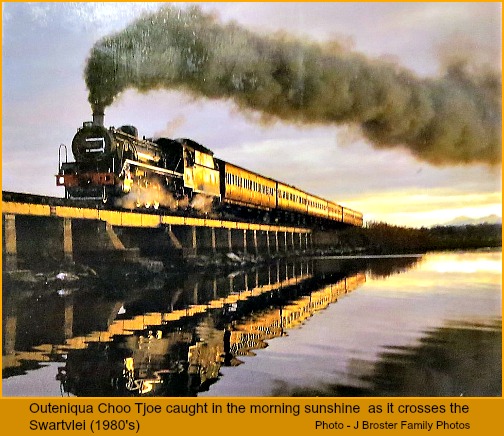 The train bathed in morning sunshine The train bathed in morning sunshine