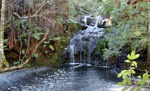 A natural swimming pool in the Forest A natural swimming pool in the Forest