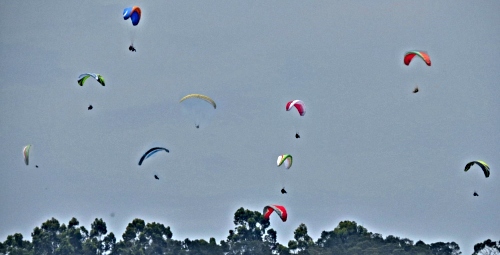 Discover Sedgefield - Paragliders 
 creating a colourful sky above Cloud 9