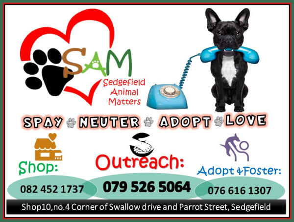 Contact SAM Contact SAM