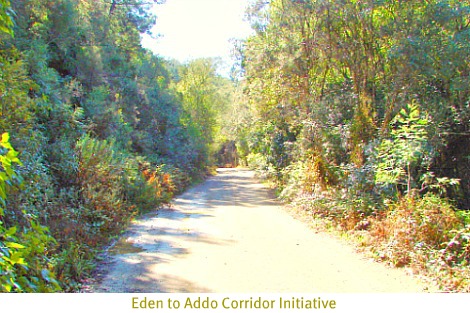 Baviaanskloof-part of the Eden to Addo Initiative