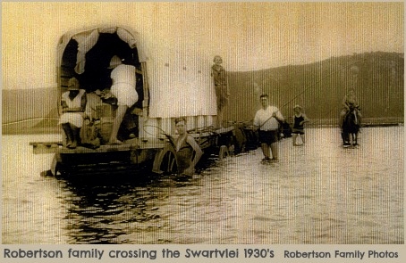 Robertson's Ox-wagon being pulled by inspanned oxen through the Swartvlei lagoon.