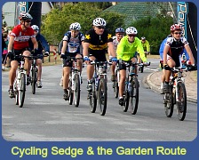 Cycling the Garden Route