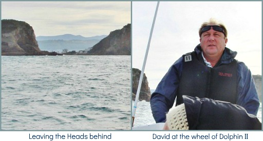 Heads from the Sea Heads from the Sea